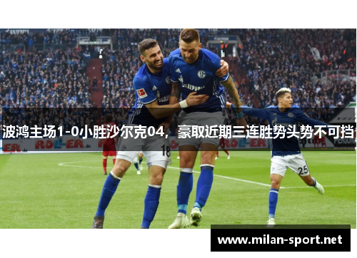 波鸿主场1-0小胜沙尔克04，豪取近期三连胜势头势不可挡